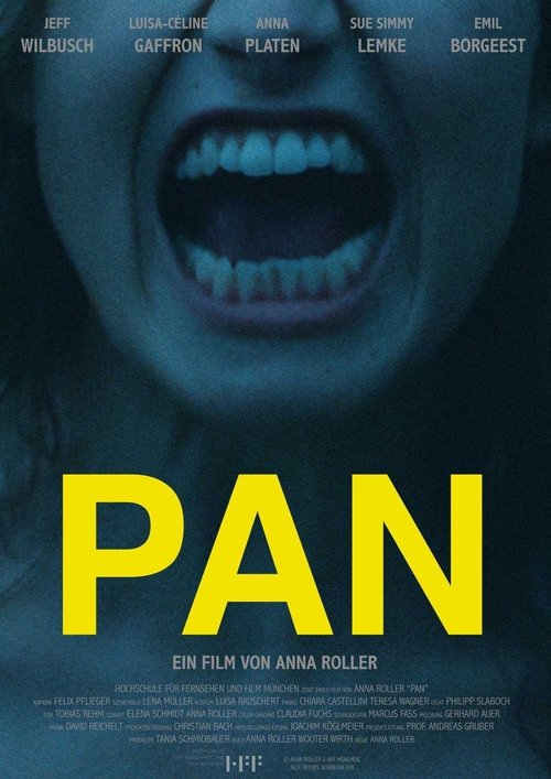 Movie poster for Pan (2017)