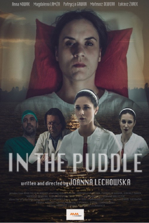 Movie poster for In the Puddle (2022)