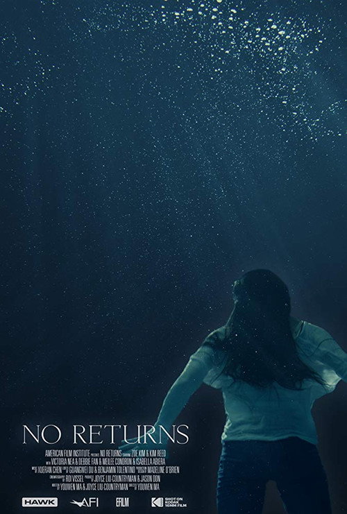Movie poster for No Returns (2018)