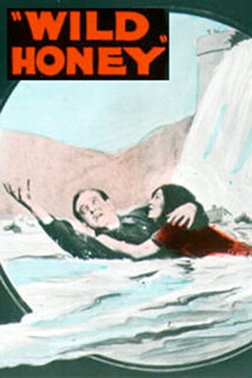 Movie poster for Wild Honey (1922)