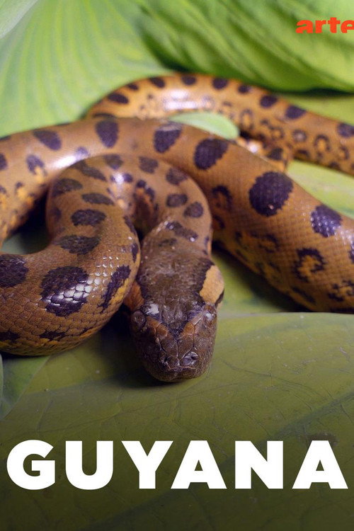 Series poster for Guyana (2021)