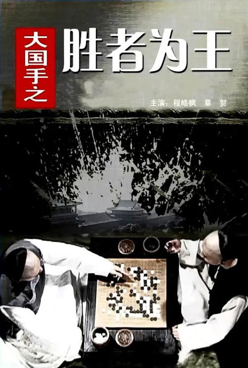 Movie poster for Master of Go: The Great Winner (2010)