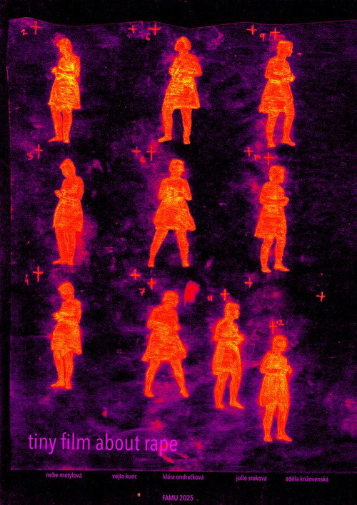 Movie poster for tiny film about rape (2025)
