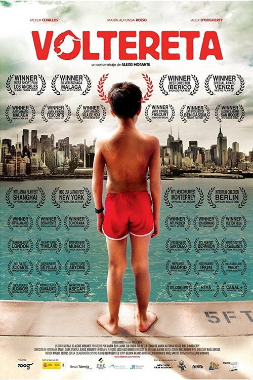 Movie poster for Somersault (2010)
