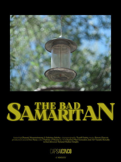 Movie poster for The Bad Samaritan (2026)