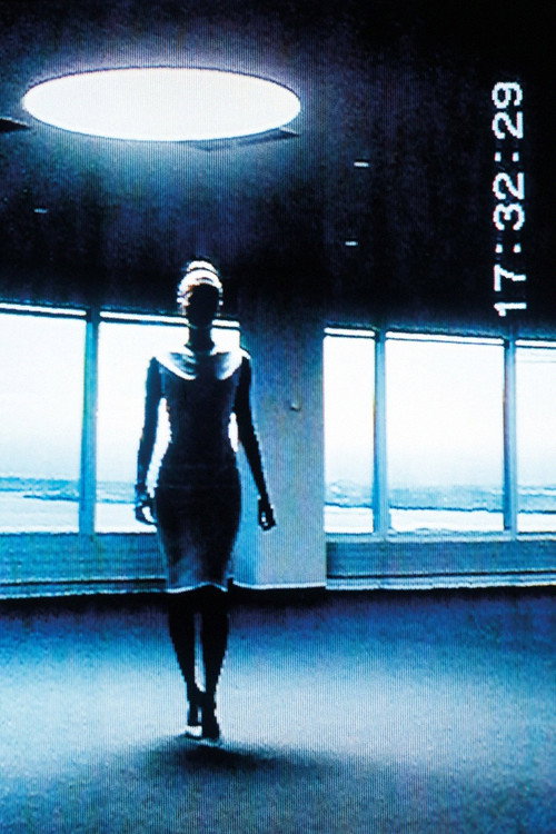 Movie poster for The More Visible They Make Me, The More Invisible I Become (2014)