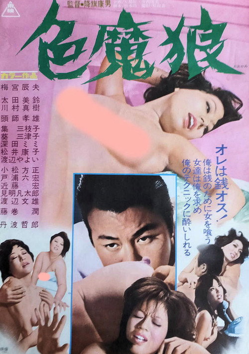 Movie poster for Big Bad Wolf (1973)
