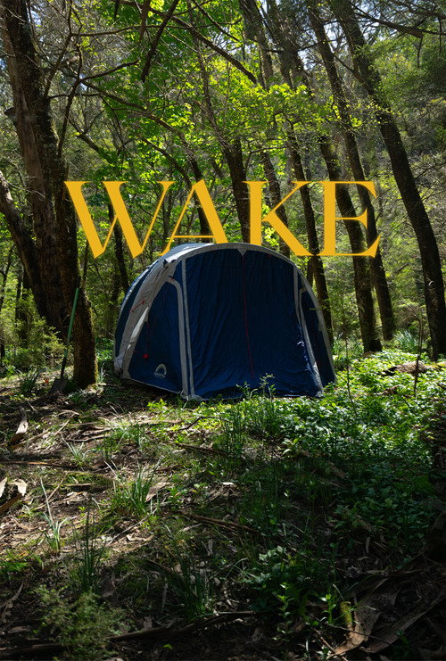 Movie poster for Wake (2025)