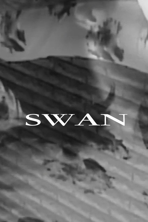 Movie poster for Swan (2025)