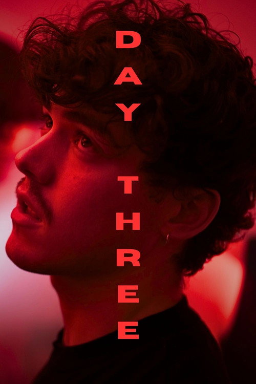 Movie poster for DAY THREE (2026)