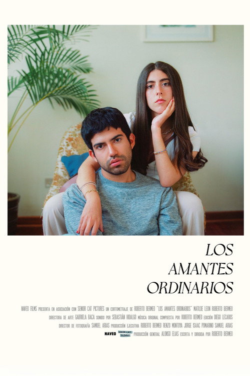 Movie poster for The Ordinary Lovers (2024)