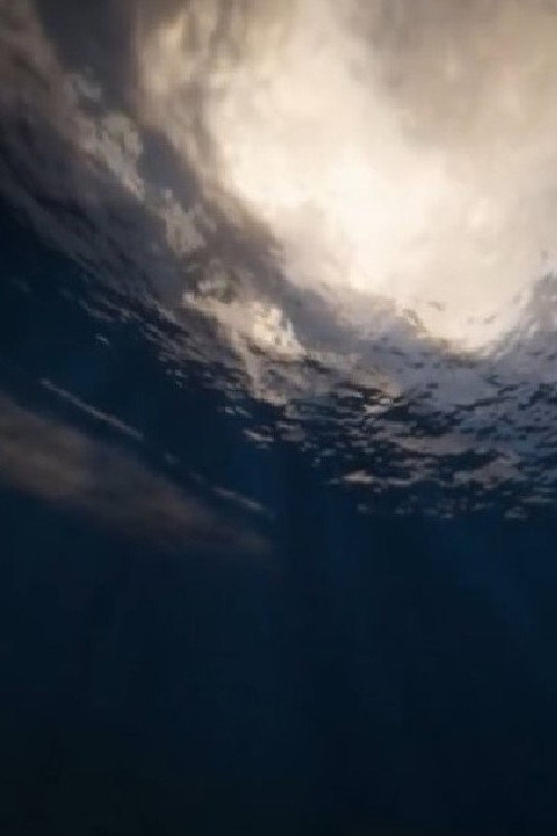 Movie poster for By This River (2018)
