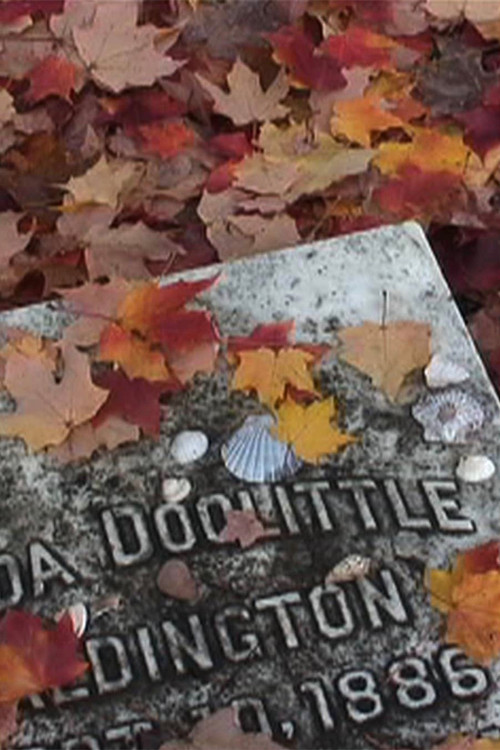 Movie poster for H.D. (2005)