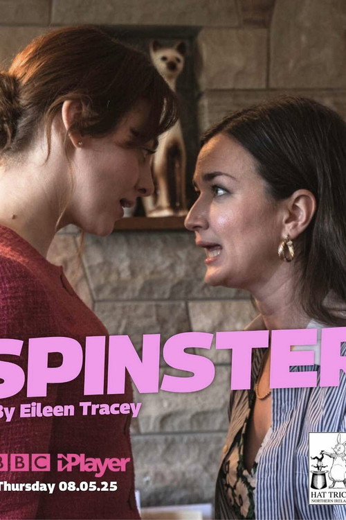 Movie poster for Spinster (2025)