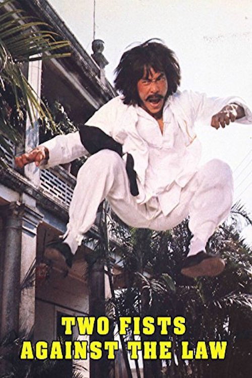 Movie poster for Two Fists Against the Law (1980)