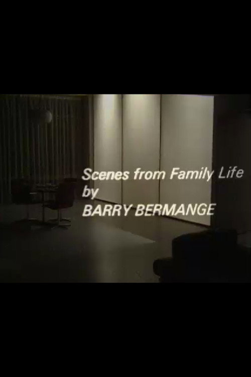 Movie poster for Scenes from Family Life (1969)