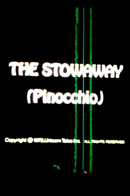 Movie poster for The Stowaway (1977)
