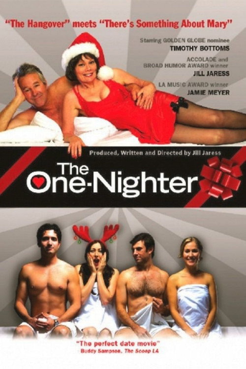Movie poster for The One-Nighter (2012)