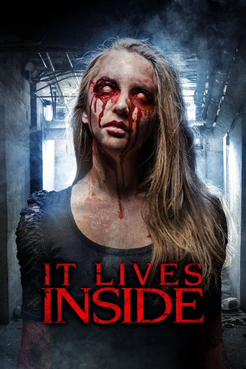 Movie poster for It Lives Inside (2018)
