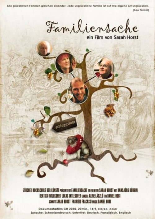 Movie poster for Familiensache (2011)
