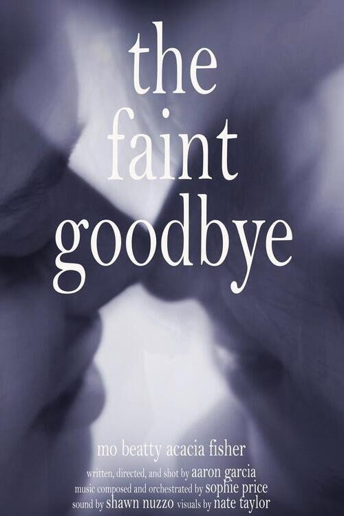 Movie poster for The Faint Goodbye (2023)