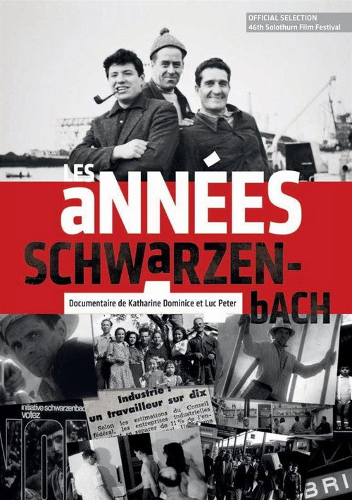 Movie poster for Les années Schwarzenbach (2010)