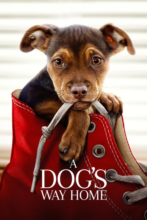 Movie poster for A Dog's Way Home (2019)