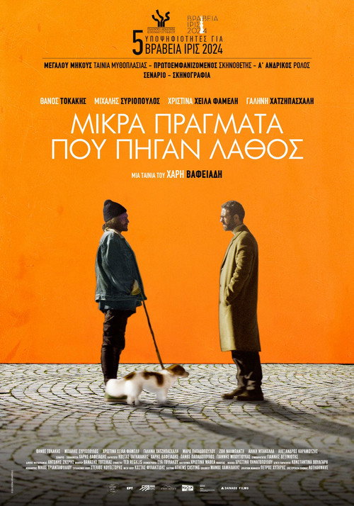 Movie poster for Little Things That Went Wrong (2024)