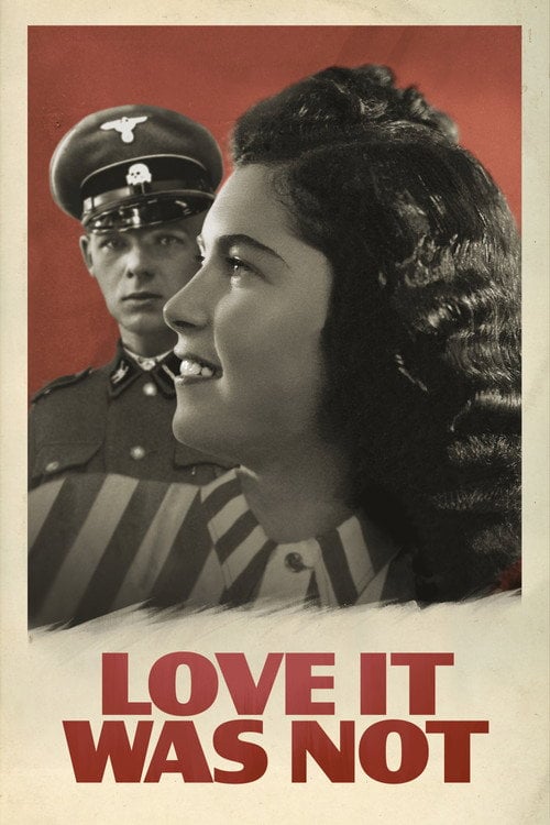 Movie poster for Love It Was Not (2022)