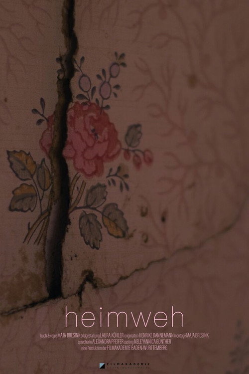 Movie poster for Homesick (2023)