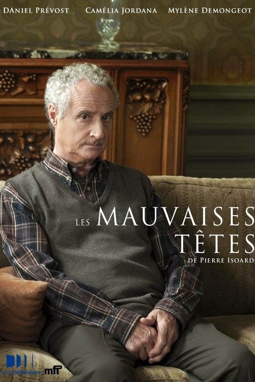 Movie poster for Les mauvaises têtes (2013)