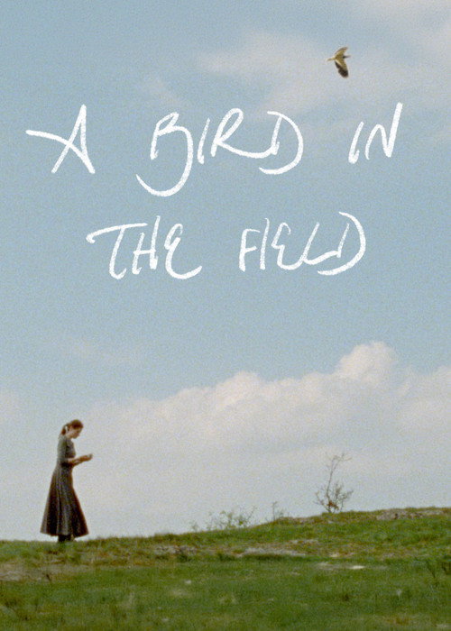 Movie poster for A Bird in the Field