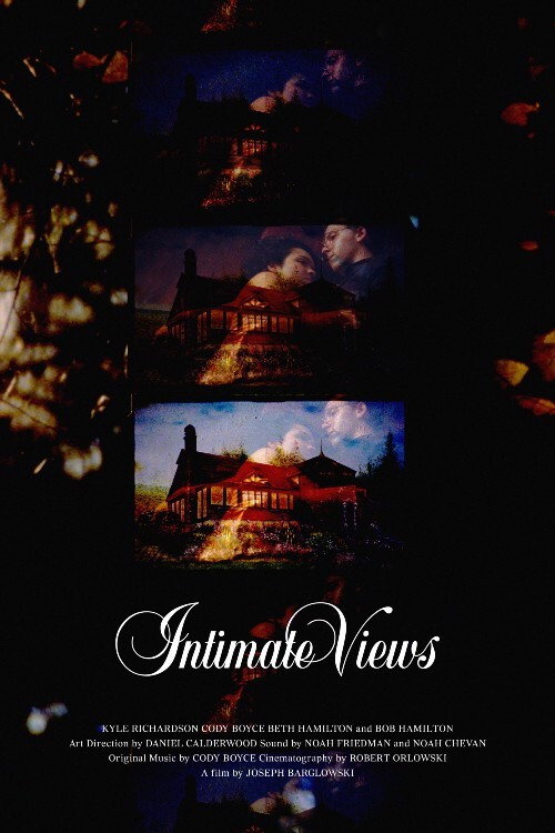 Movie poster for Intimate Views (2021)