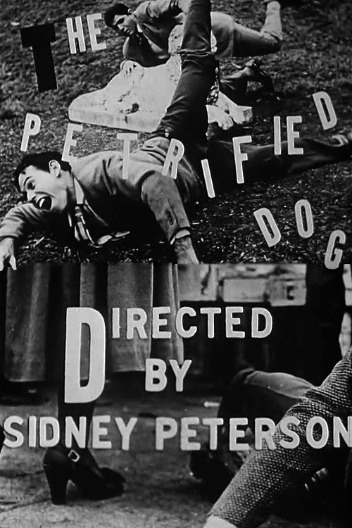 Movie poster for The Petrified Dog (1949)