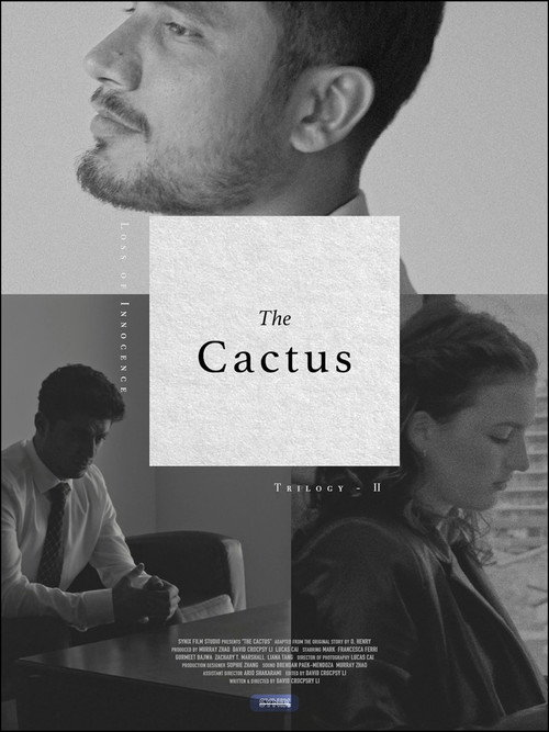 Movie poster for The Cactus