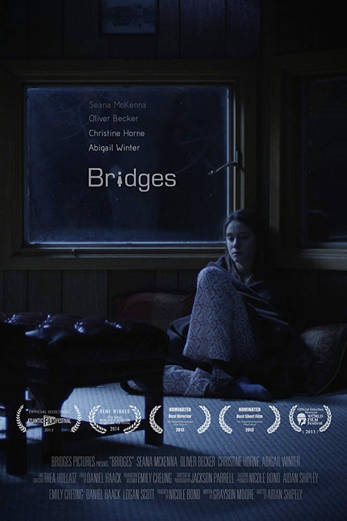 Movie poster for Bridges (2013)