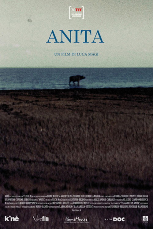 Movie poster for Anita (2012)