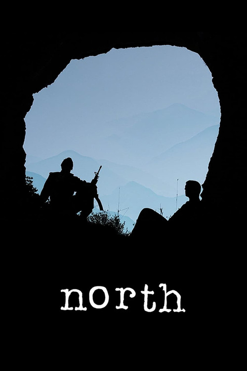 Movie poster for North (2015)