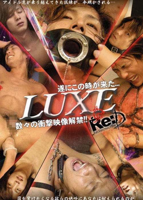 Movie poster for LUXE Re:D (2008)