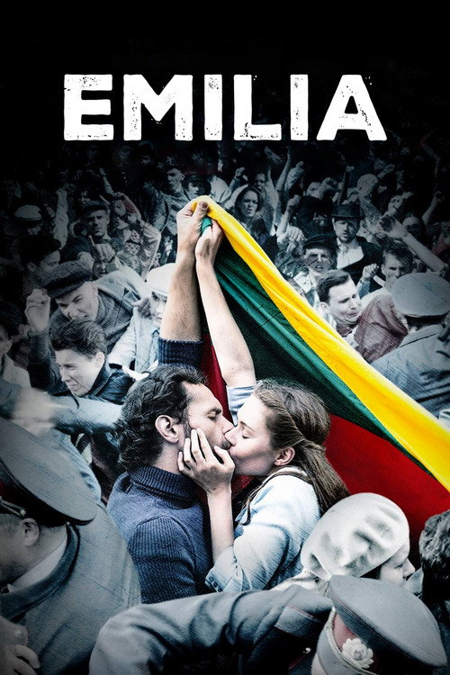Movie poster for Emilia (2017)