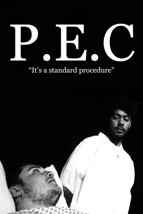 Movie poster for P.E.C (2024)