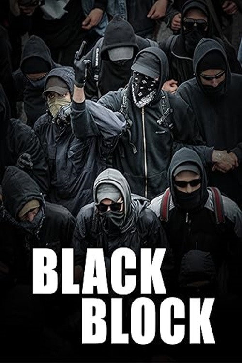Movie poster for Black Block (2011)