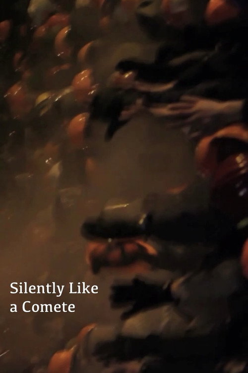 Movie poster for Silently Like a Comete (2014)