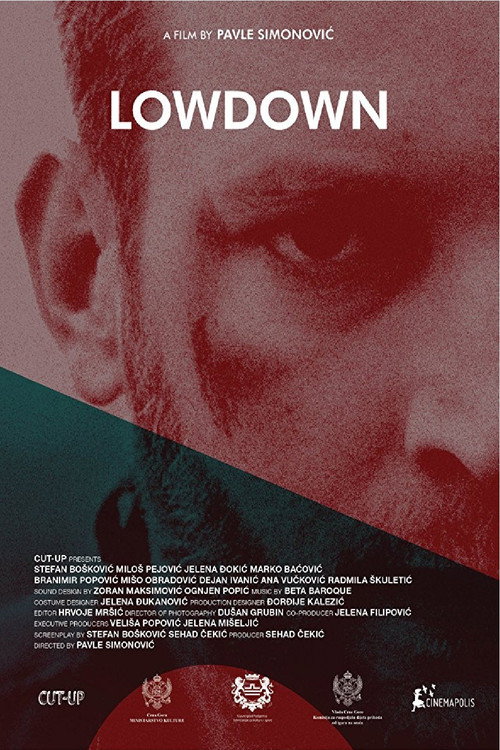 Movie poster for Lowdown (2016)
