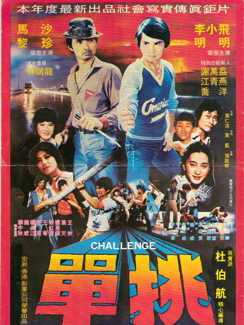 Movie poster for Challenge (1981)