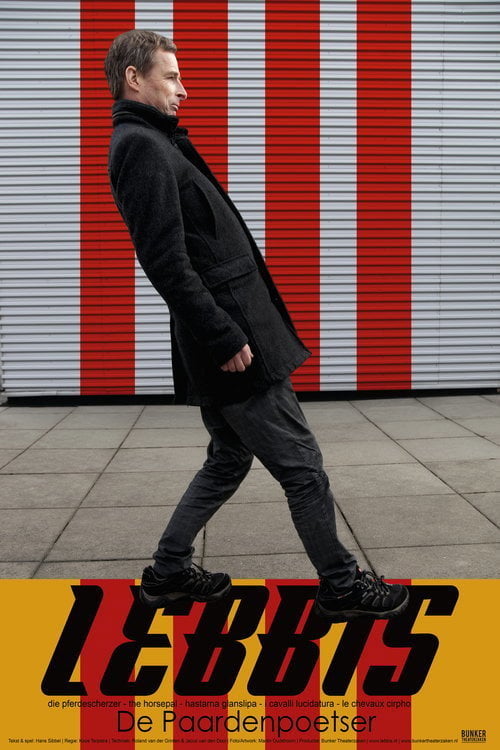 Movie poster for Lebbis: De Paardenpoetser (2017)