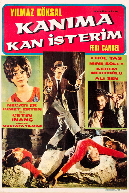 Movie poster for Kanıma Kan İsterim (1970)