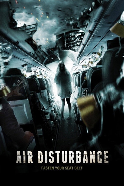 Movie poster for Air Disturbance (2014)