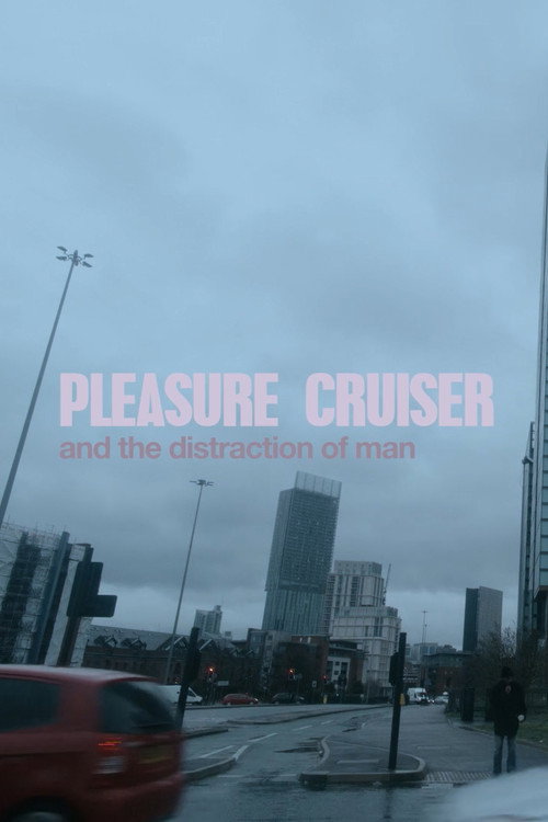Movie poster for Pleasure Cruiser (2022)