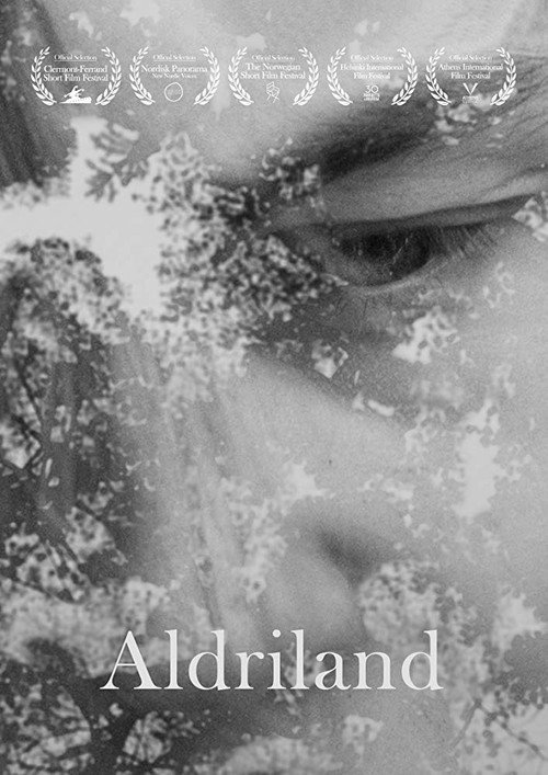 Movie poster for Neverland (2017)
